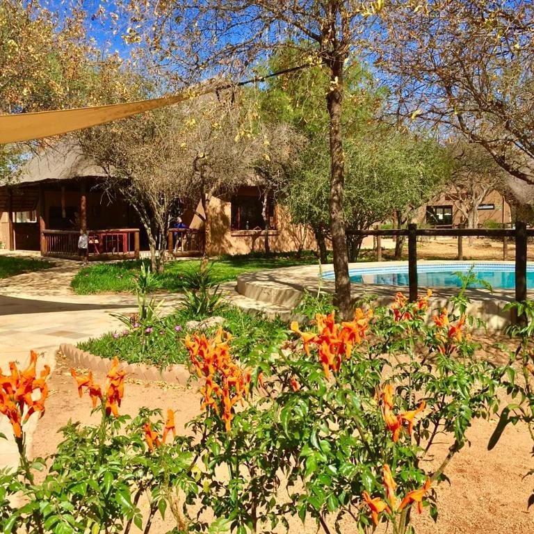 Golden Impalas Bush Resort Hammanskraal Eksteriør billede